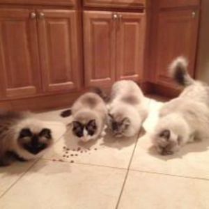 Meet your Posher, Lisa